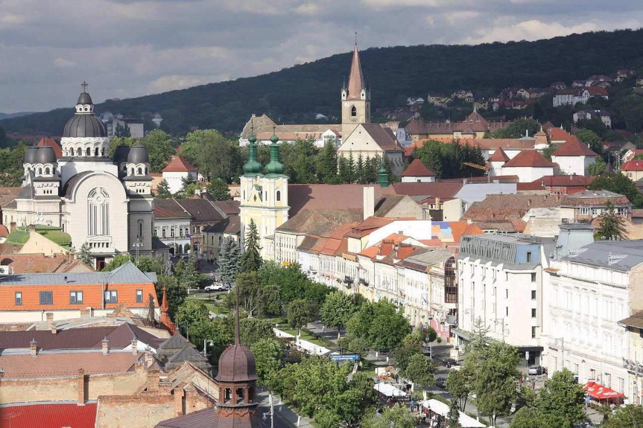 Butterfly Apartment-Hidden Gem In The Heart Of Târgu-Mureş エクステリア 写真