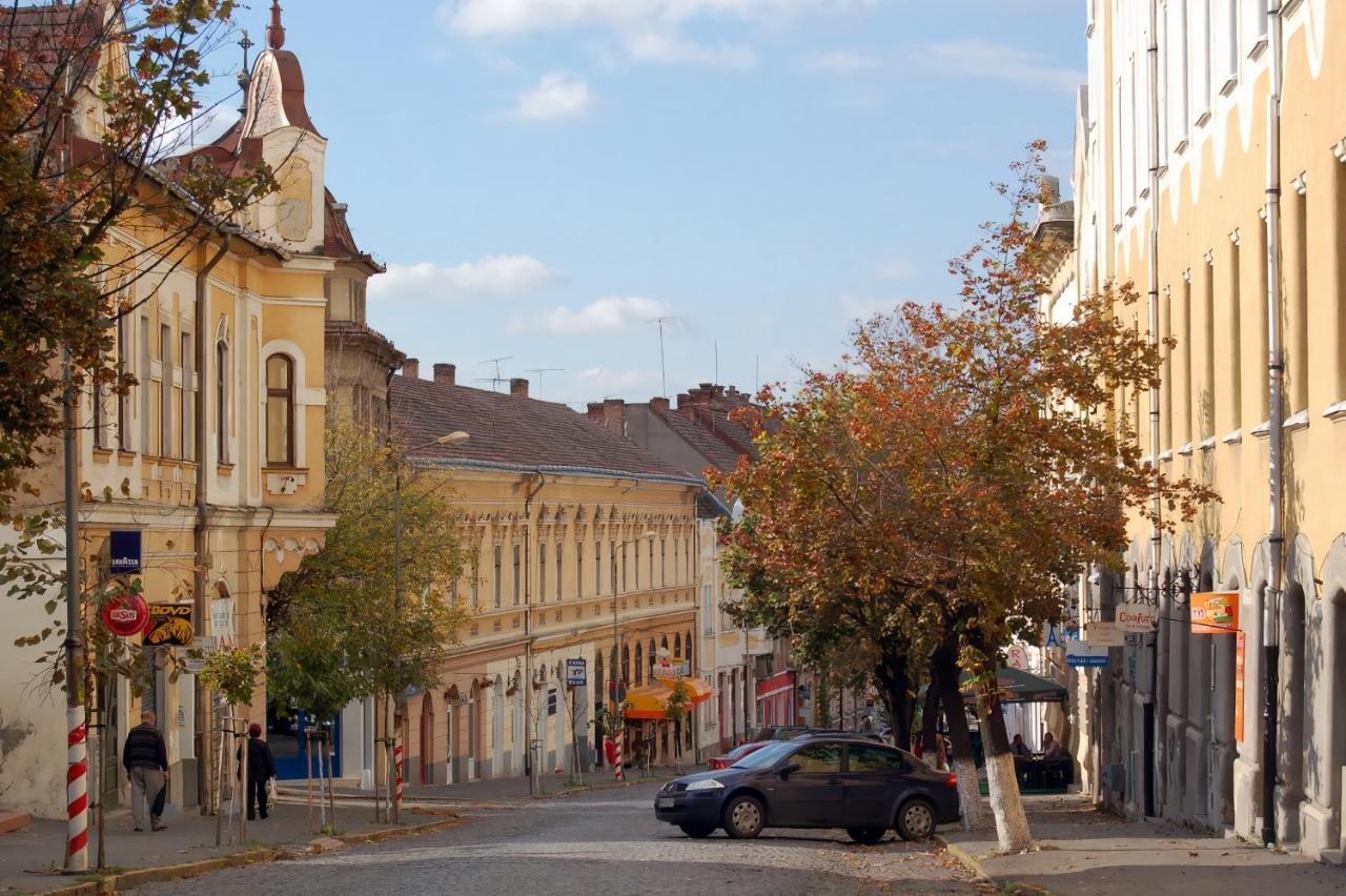 Butterfly Apartment-Hidden Gem In The Heart Of Târgu-Mureş エクステリア 写真